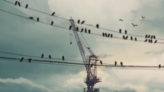 鸟坐在电线背景下的建筑起重机