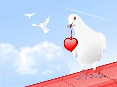 2月14日情人节的心脏鸽子