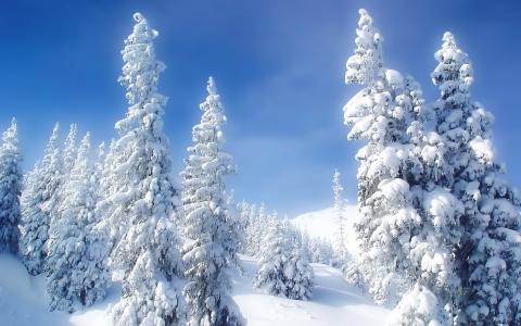 蓝蓝的天空和白色的雪
