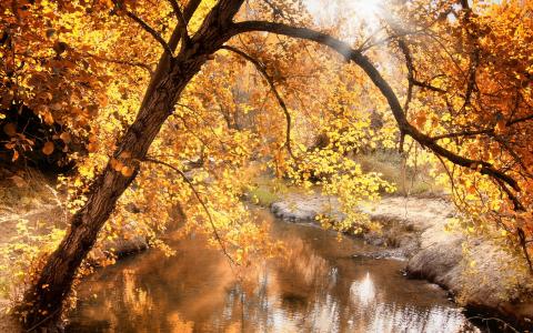 秋天的小溪