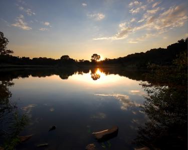 日落在森林湖中的反映