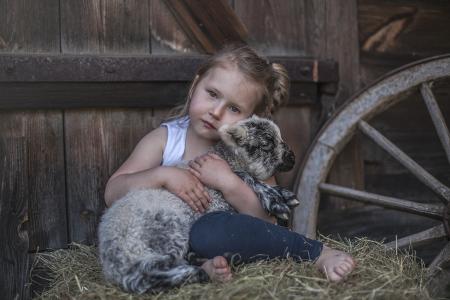 小棕眼睛的女孩拥抱一只羊羔