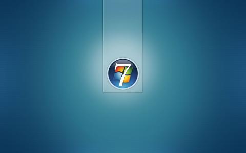 Windows七标志