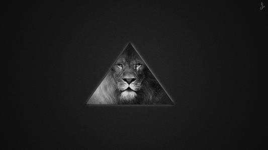 狮子在三角