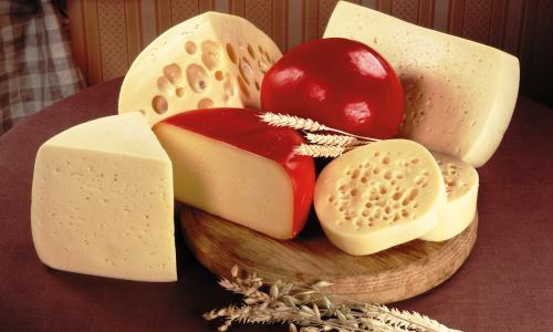 不同种类的奶酪