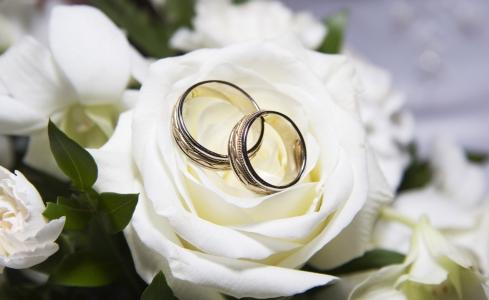 在一朵白色玫瑰的结婚戒指