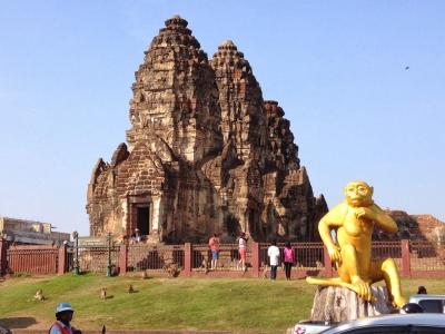 泰国华富里度假村的一座寺庙的背景上的金丝猴
