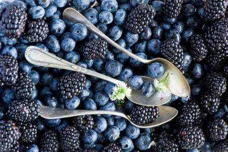 勺子浆果的蓝莓和黑莓