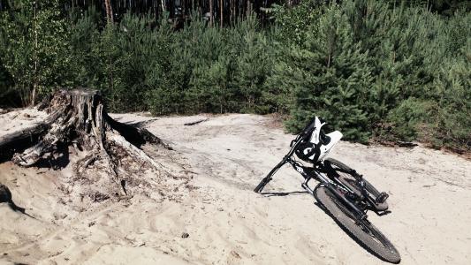 自行车在森林中的大麻