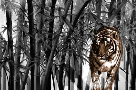 老虎之间的竹子
