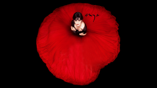 一件红色连衣裙的女孩形状的罂粟