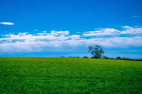 蓝天云朵绿色草场图片