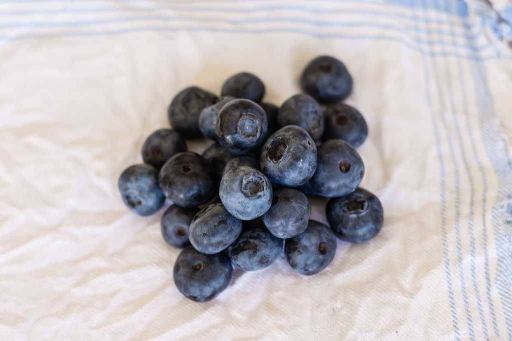新鲜的蓝莓果子