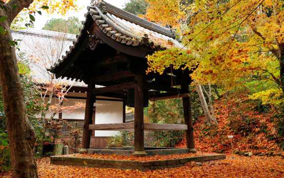 京都圆光自然风景图片