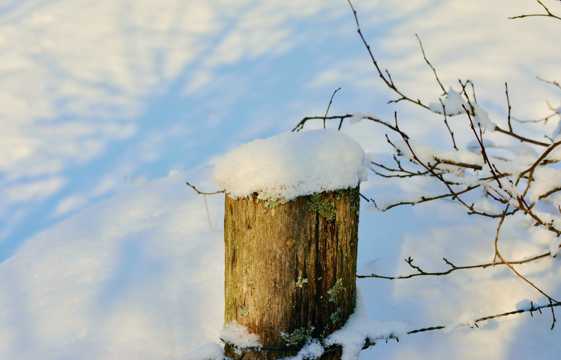 冬天雪地木桩图片