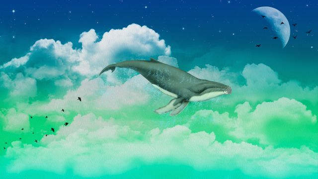 天空中的鲸鱼