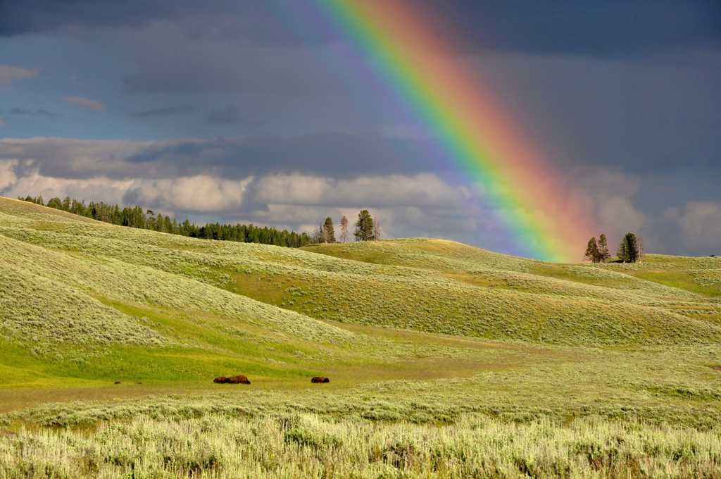 乡村的彩虹