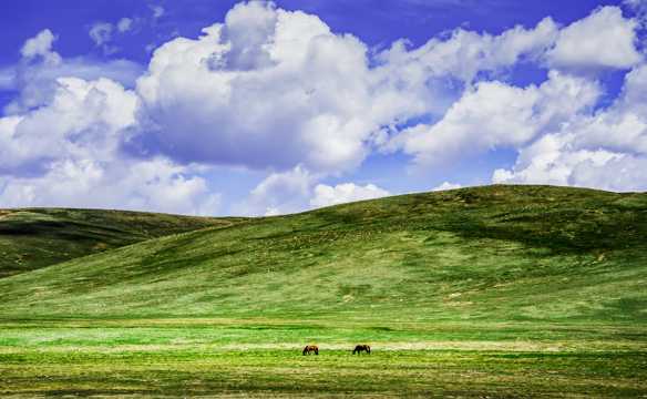 新疆巴音布鲁克草地自然风光图片