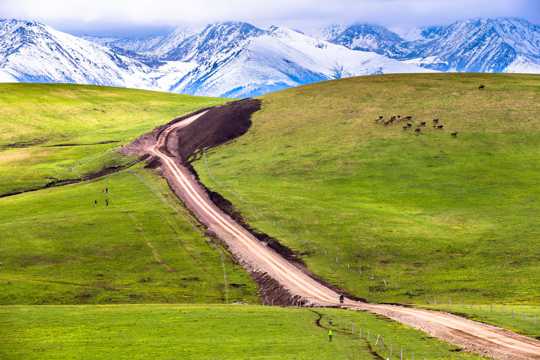 新疆喀拉峻草地景象图片
