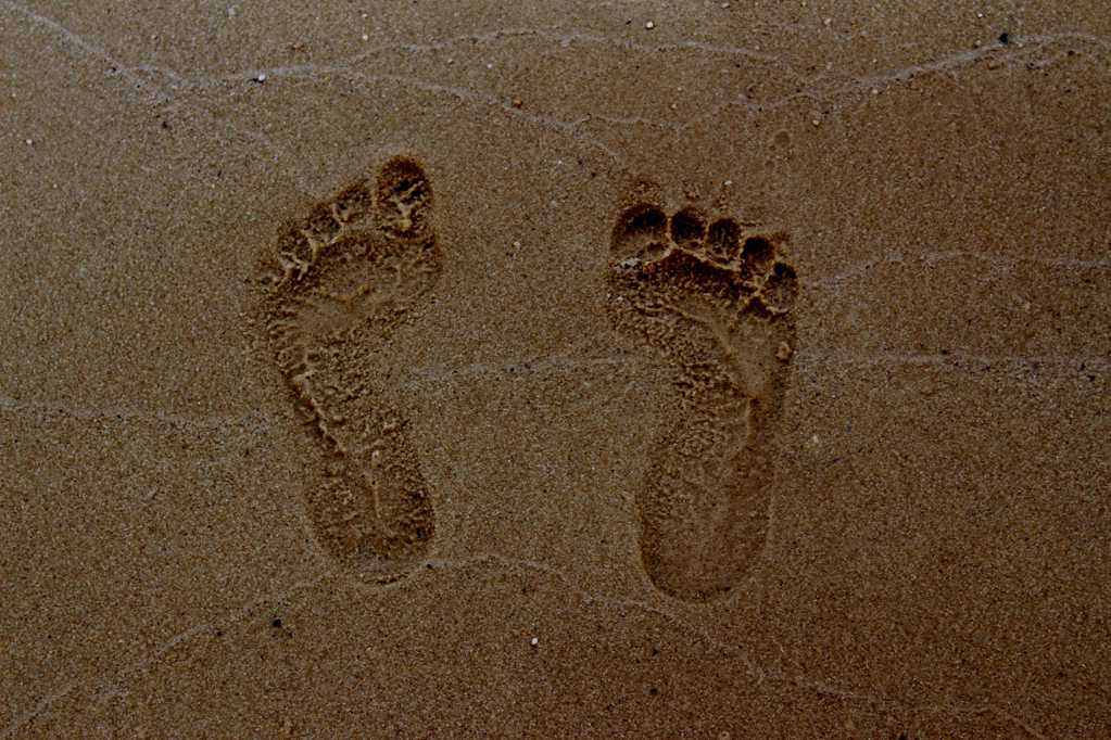 沙海上的脚印