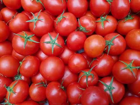番茄蔬菜背景图片