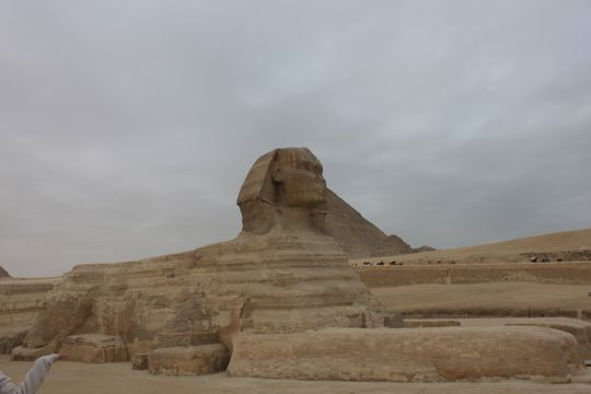 埃及狮身人面像特写图片