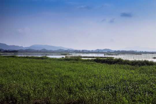 广东惠州潼湖湿地光景图片