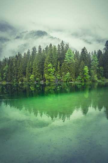 绿色湖水唯美景物