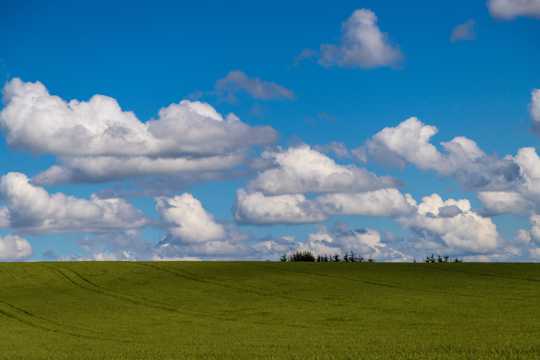 草地蓝天云彩景观图片