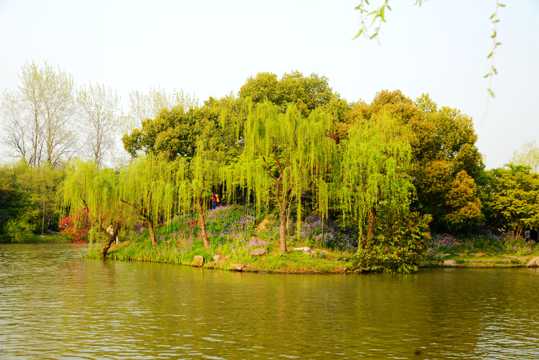江苏扬州景象图片