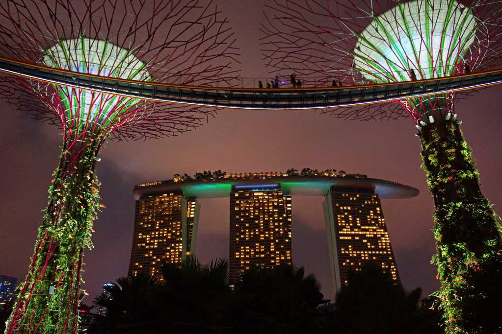 新加坡滨海湾花园景致图片
