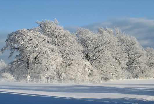 冬日唯美的雪景图片
