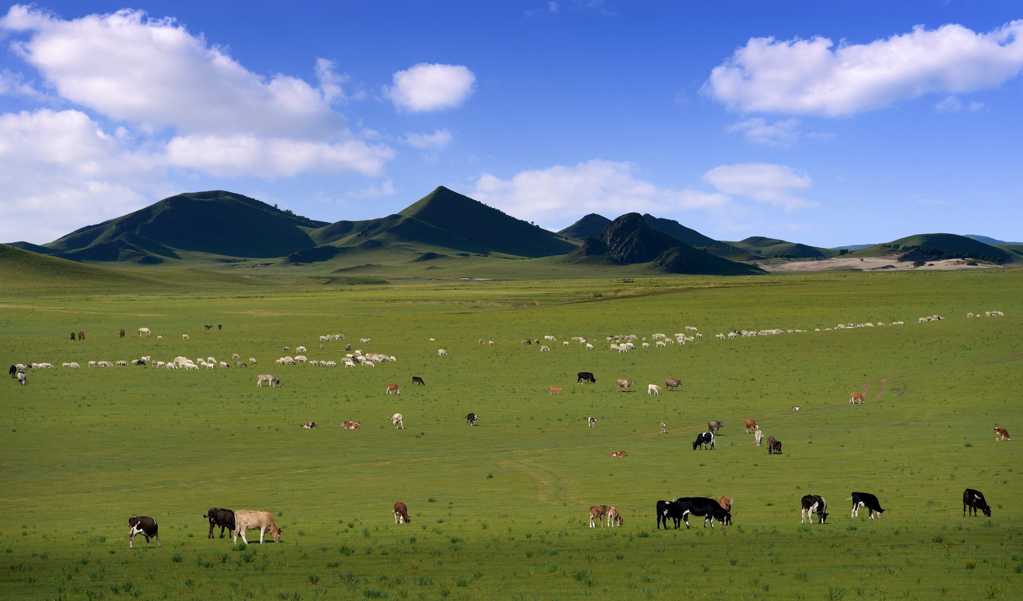 内蒙古乌兰布统原野景物图片