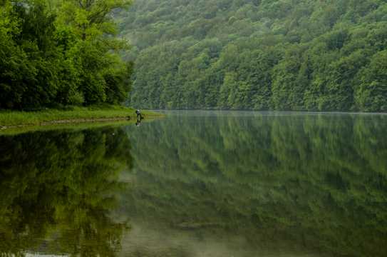 森林里的江河自然风光图片
