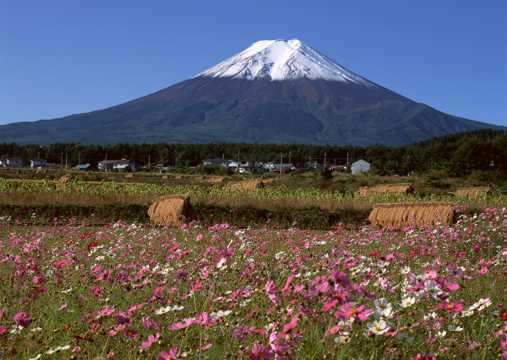 日本富士山春日景物图片