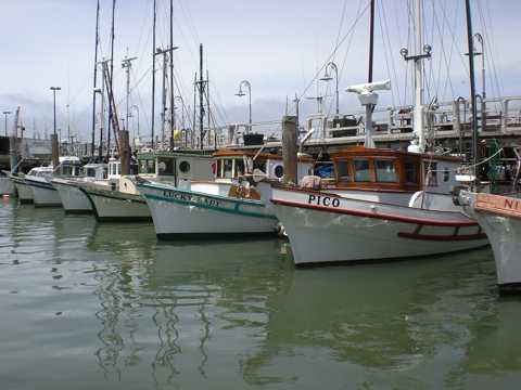旧金山渔人码头景色图片