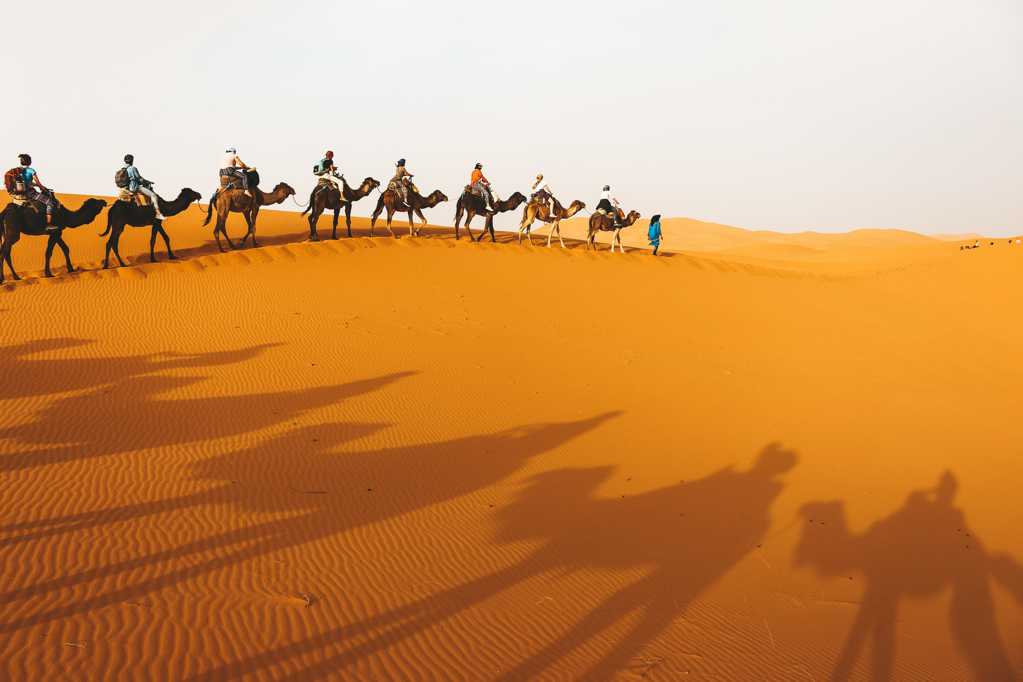 大漠骆驼队伍照相图片
