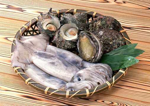 螺类,扇贝,贝壳,海鲜食材图片