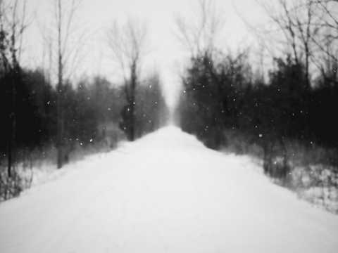 黑白境界冬日雪景图片