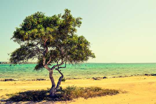 塞浦路斯海滨唯美自然风光