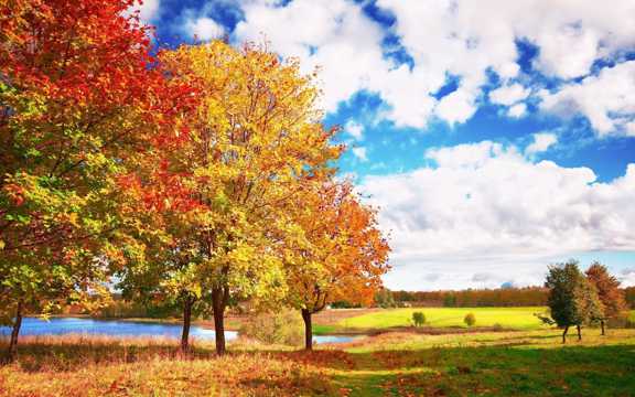唯美秋季景致图片