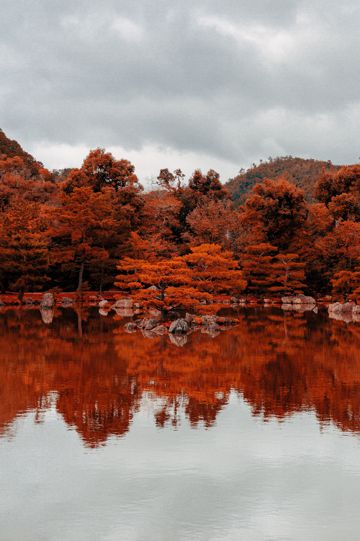 秋日红色丛林倒影图片