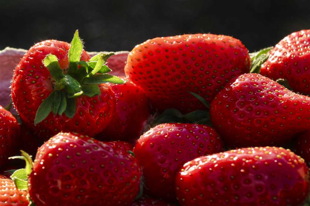成熟红草莓近景图片