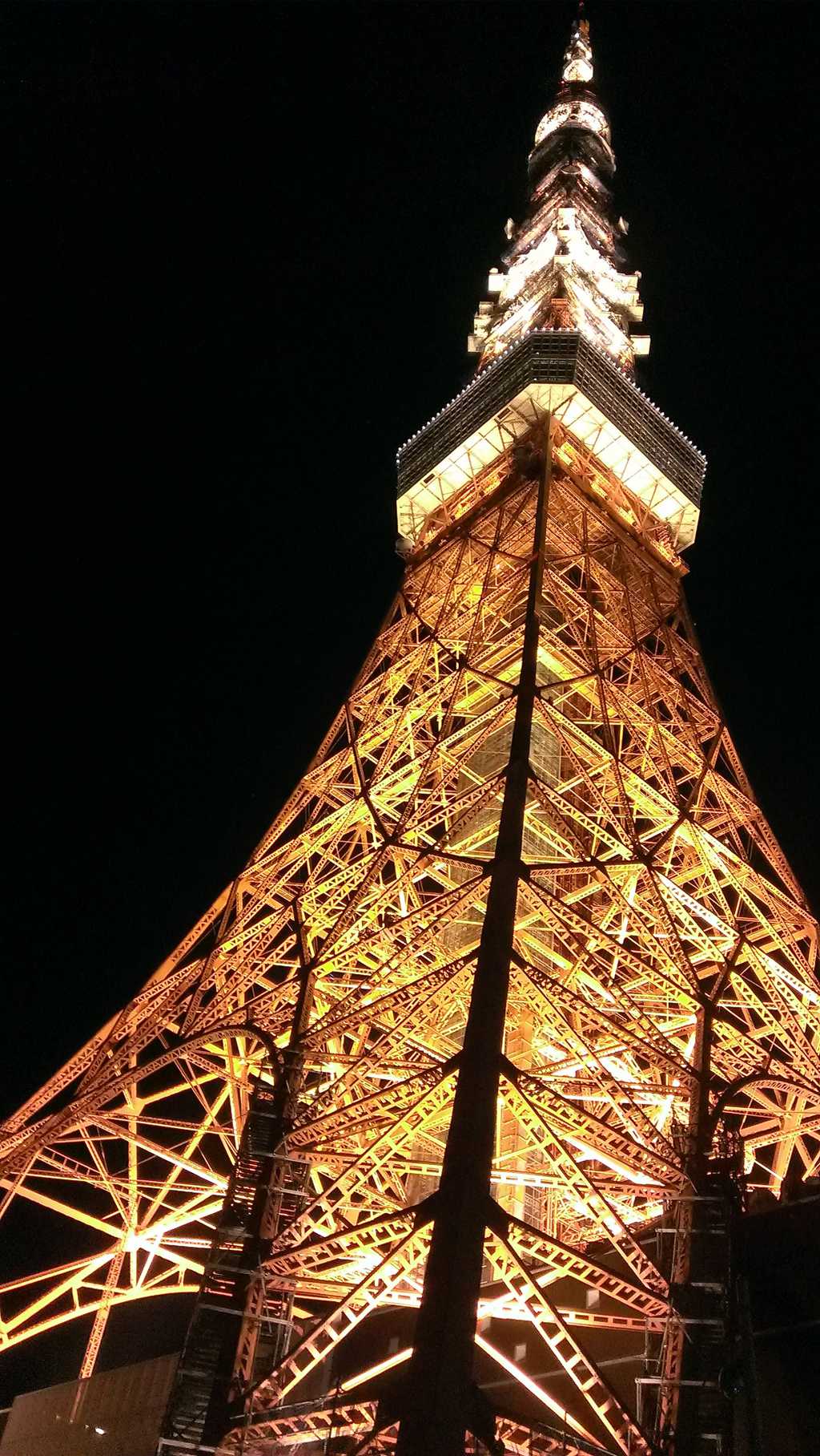 星夜里发光发亮的日本东京塔图片