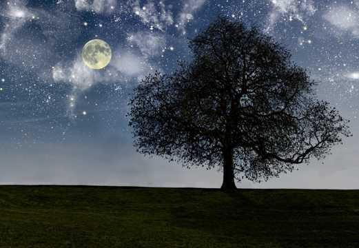 夜幕夜空月亮大树草场图片