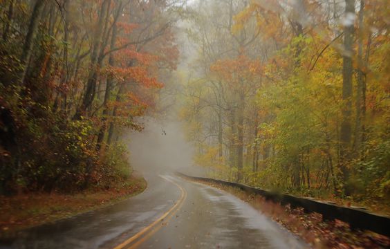秋季早晨雾气公路景致图片