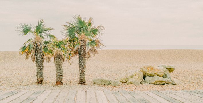 海洋海滩棕榈树图片