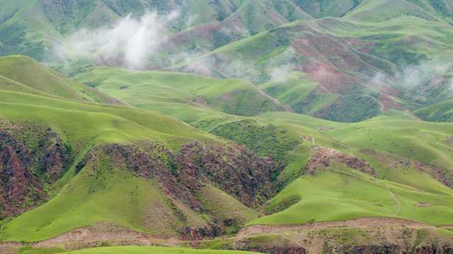 绿色的新疆天山草场农场风光图片