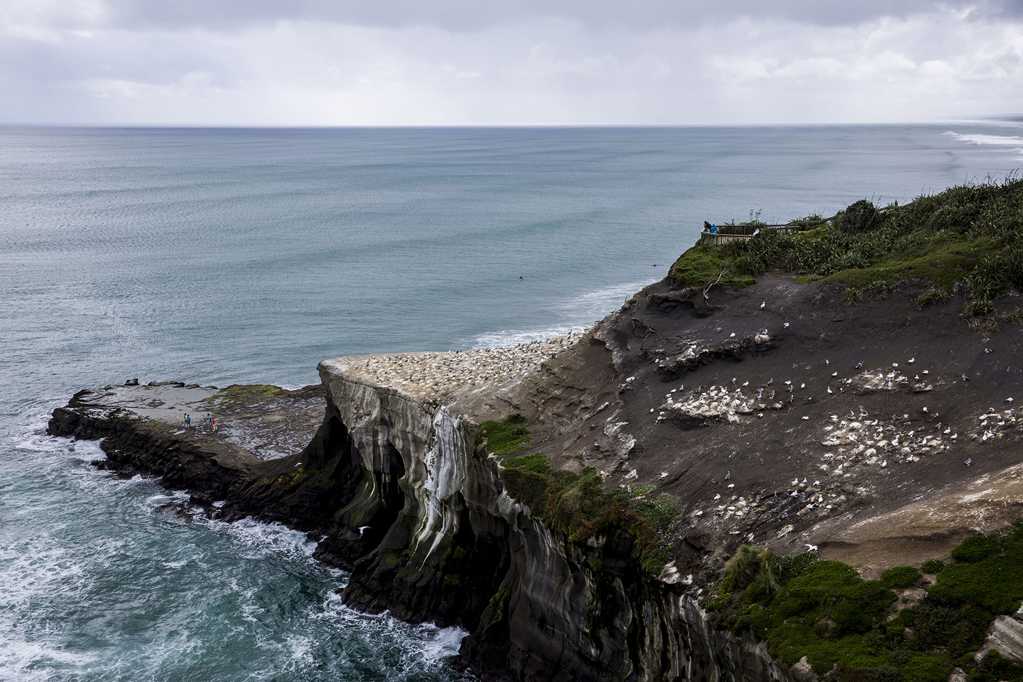 新西兰鸟岛自然风光图片