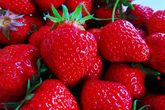 酸甜迷人的草莓图片